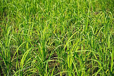 PS平台独占游戏《地平线：西之绝境》战斗演示公布