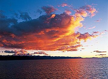 牌组构建游戏《王国之牌》steam页面上线 明年发售