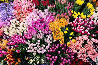 机器人自动化种田新时代！《牧神镇物语》现已正式发售